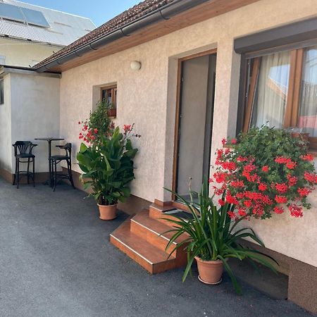 Apartman Anna Ogulin Extérieur photo